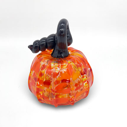 Black Stem Multi Orange Pumpkin - Small