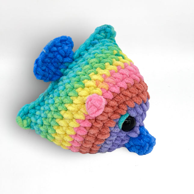 Angel Fish - Rainbow