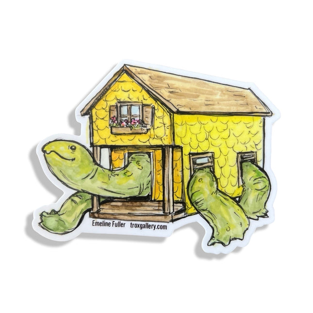 House Turtle