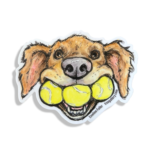 Retriever