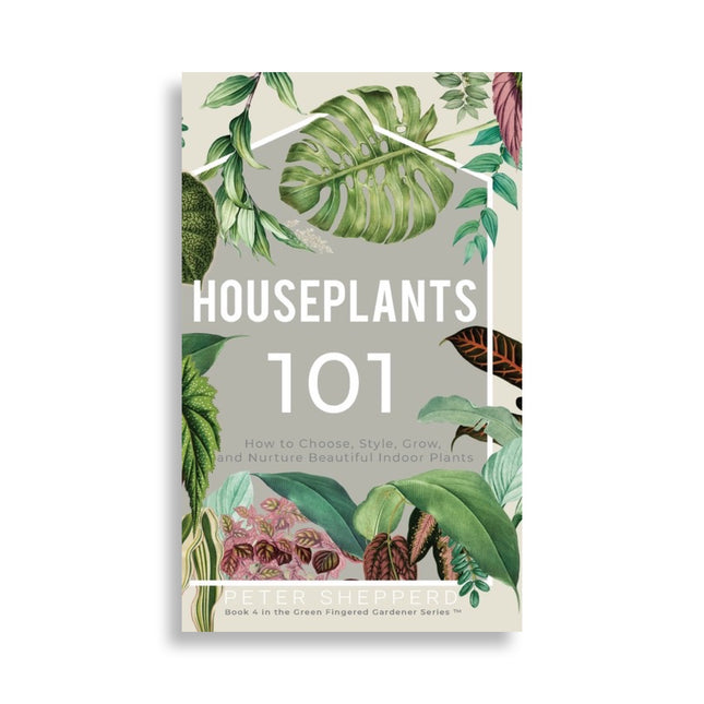 Houseplants 101: How to choose, style, grow and nurture your indoor plants