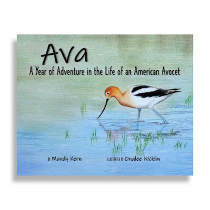 Ava by Mandy Kern HB