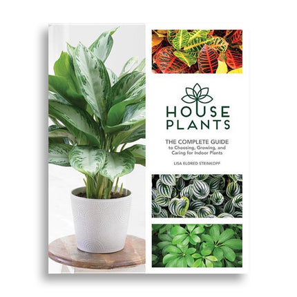 House Plants