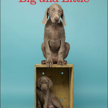 William Wegman Big and Little 2024 Wall Calendar