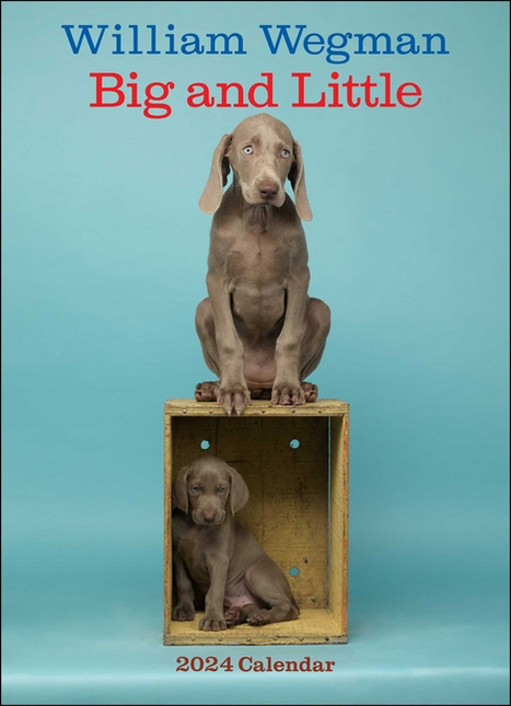 William Wegman Big and Little 2024 Wall Calendar