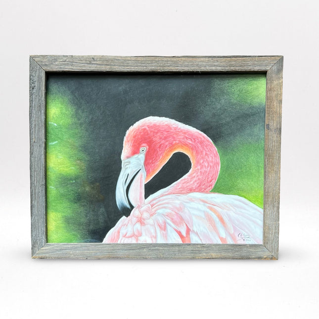 Flamingo