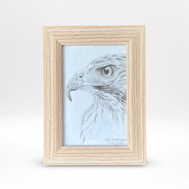 Hawk