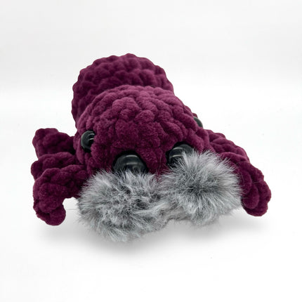 Jumping Spider - Purple