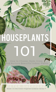 Houseplants 101: How to choose, style, grow and nurture your indoor plants