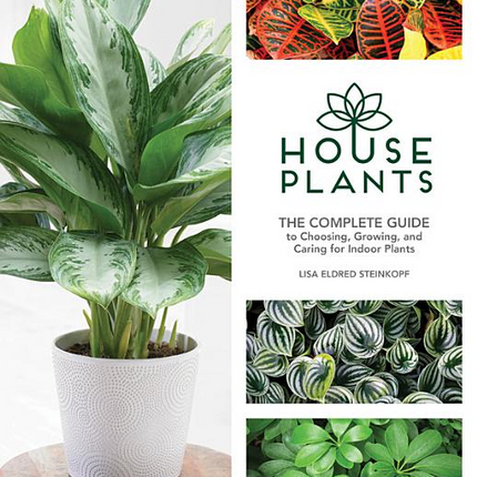 House Plants