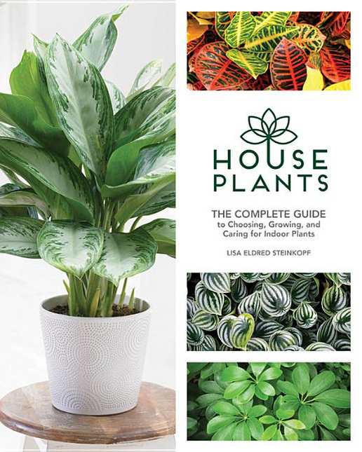 House Plants