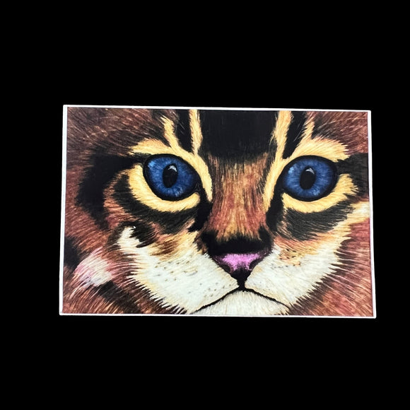 Kitten Sticker