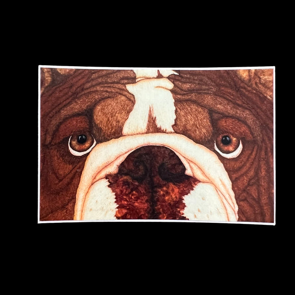 Bulldog Sticker