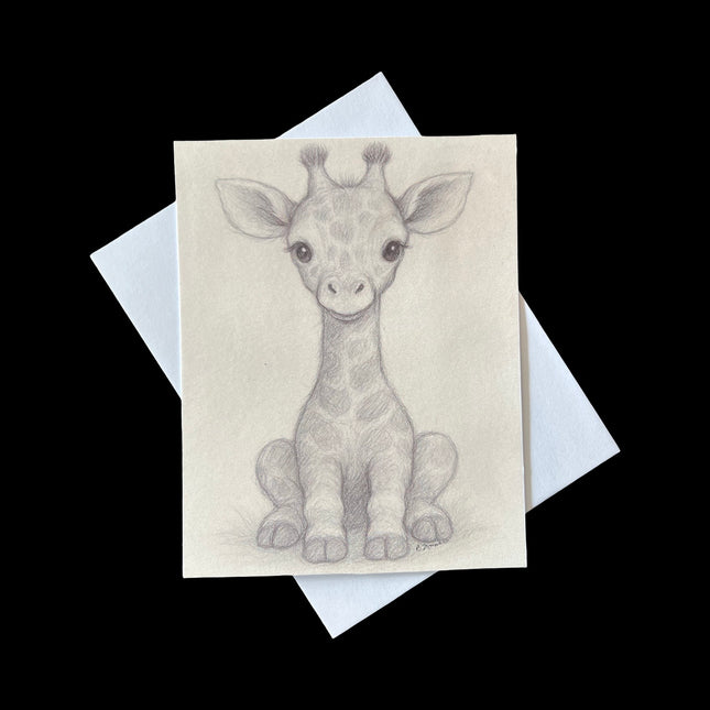 Baby Giraffe