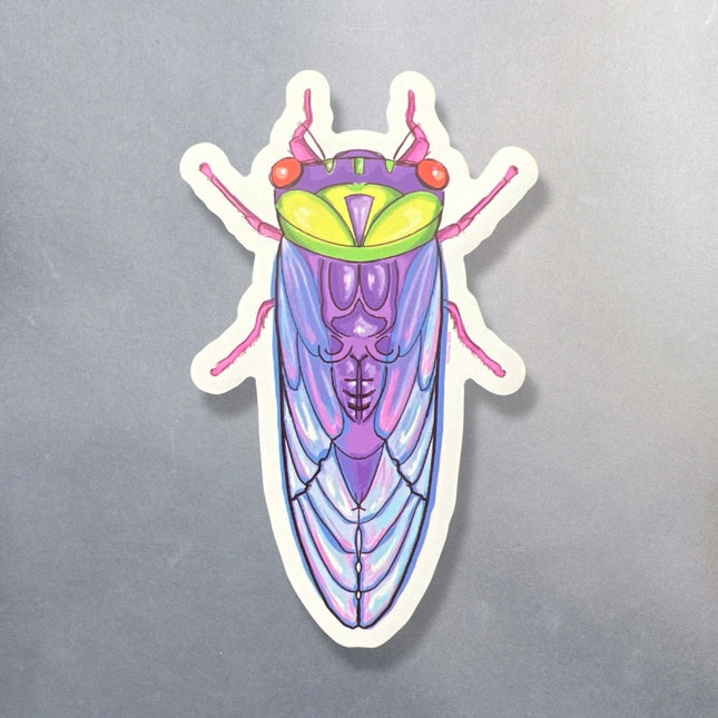 Cicada Magnet