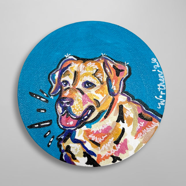 Yellow Dog Magnet