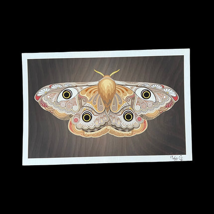 Small Brown Moth Print