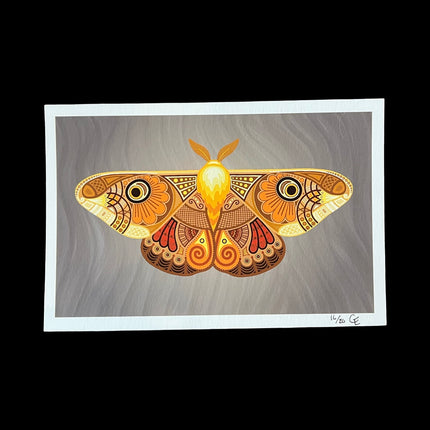 Medium Orange Moth Print