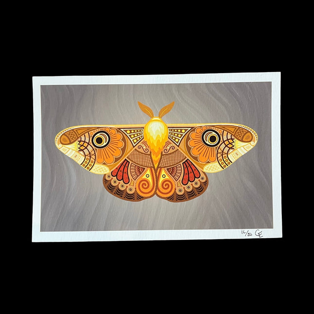 Small Orange Moth Print