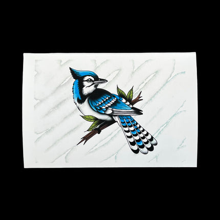 Blue Jay Print - 4" x 6"