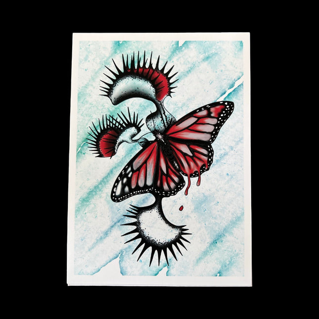 Flytrap Butterfly print 5' x 7"