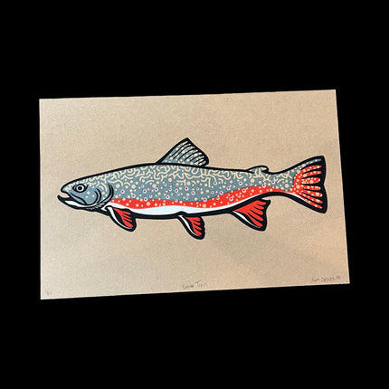 Brook Trout