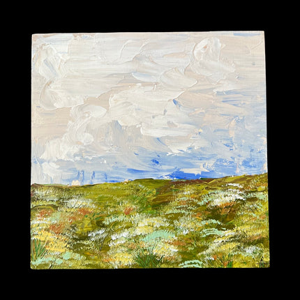 Whispy Sky