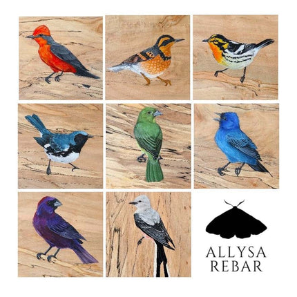 Spectrum of Songbirds Card Pack