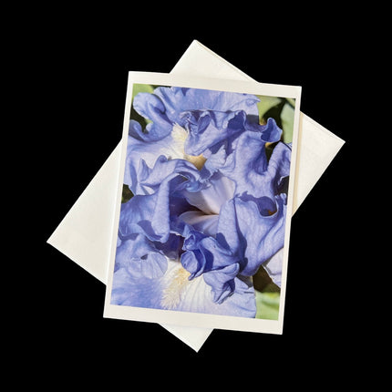 Moody Blues Card