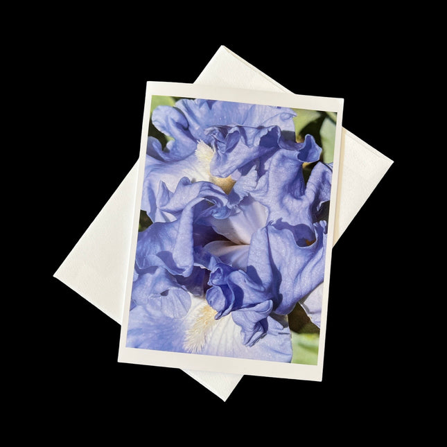 Moody Blues Card