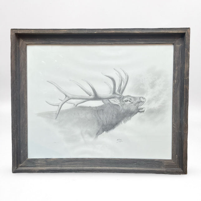 Elk
