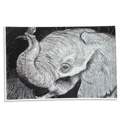 Elephant Sticker