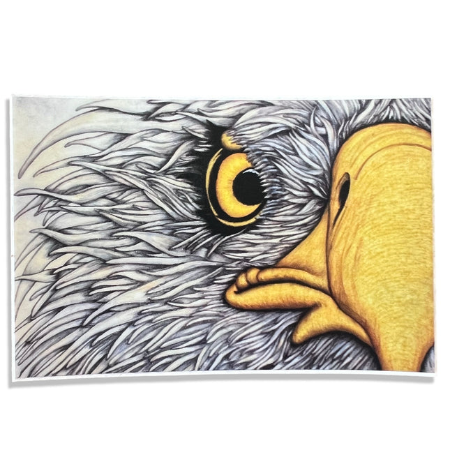 Eagle Sticker