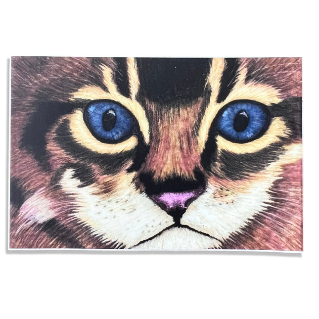 Kitten Sticker
