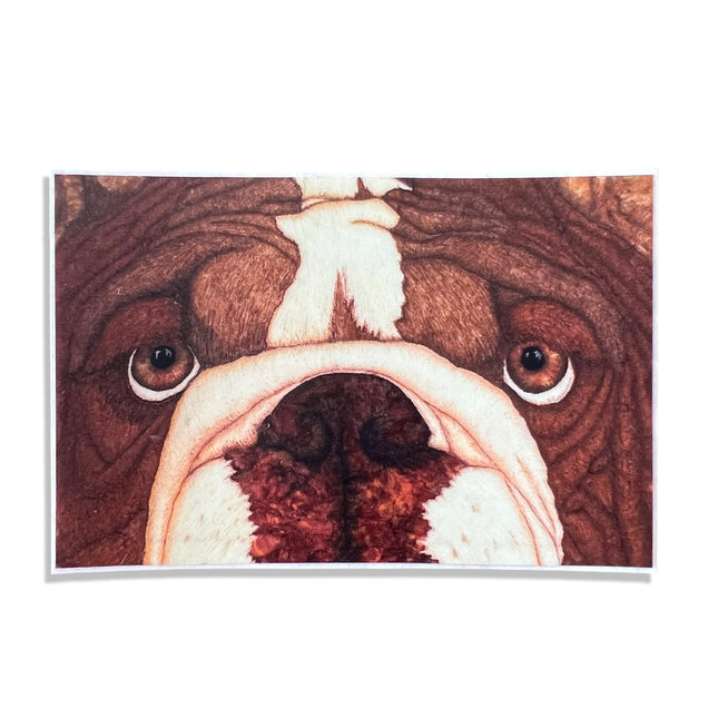 Bulldog Sticker