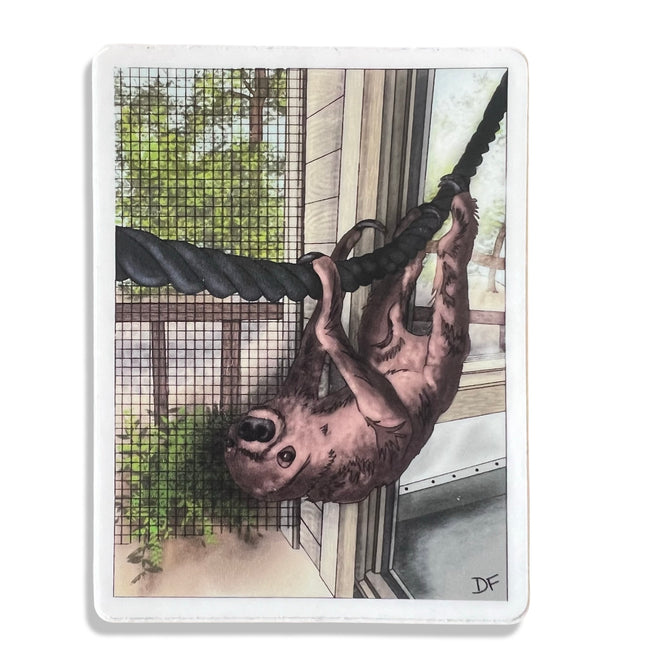 Sloth Encounter Sticker