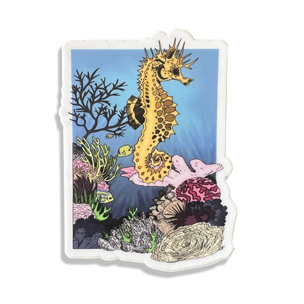 Seahorse