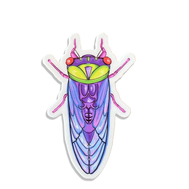 Cicada Sticker