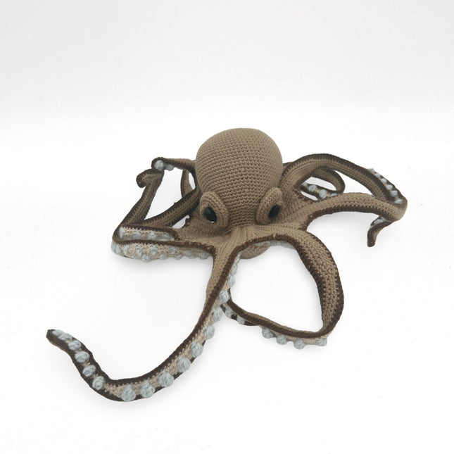 Octopus