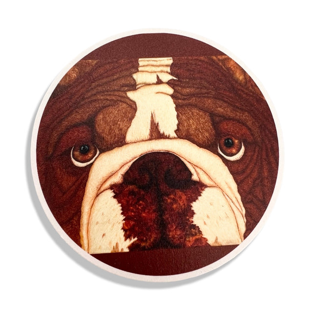 Bulldog Coaster