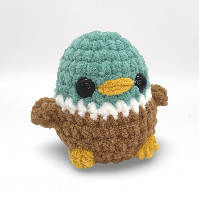 Mallard Duck