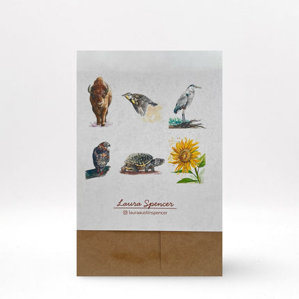 Kansas Card Pack