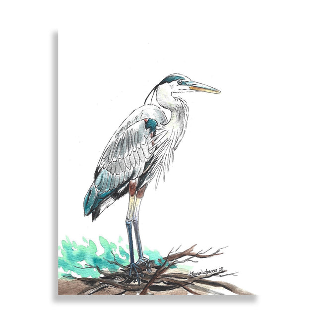 Great Blue Heron 5" x 7"