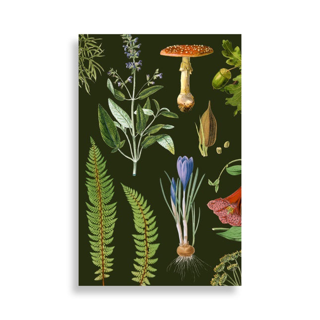 Woodland Journal