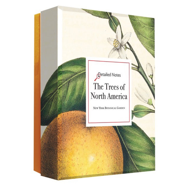 Trees of North America Notecards