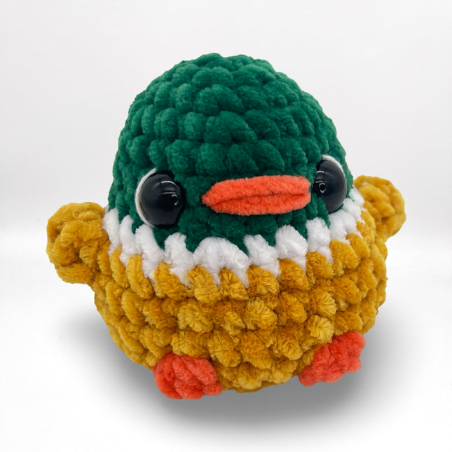 Mallard Duck