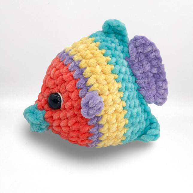 Angel Fish - Rainbow