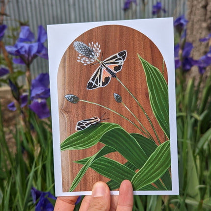 Nais Tiger Moth Card