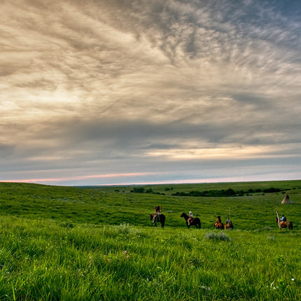 Procession (Symphony in the Flint Hills)