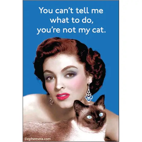 Not My Cat Magnet
